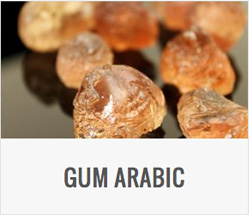 Gum gum-arabic
