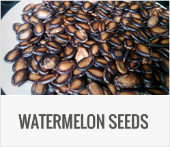 watermelon-seeds